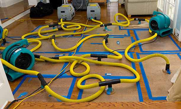 Professional Basement Flood Cleanup technician working in New Raymer, CO